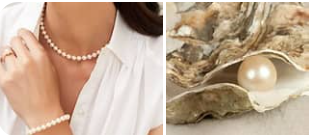 В чем отличие морского жемчуга и пресноводного (речного) жемчуга?